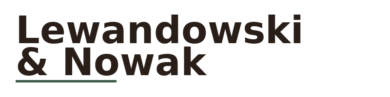 Lewandowski & Nowak logo